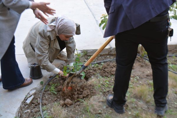 🌿 Afforestation Campaigns by the “Friends of the Environment” Team