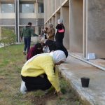 حملات تشجير لتعزيز الاستدامة البيئية6